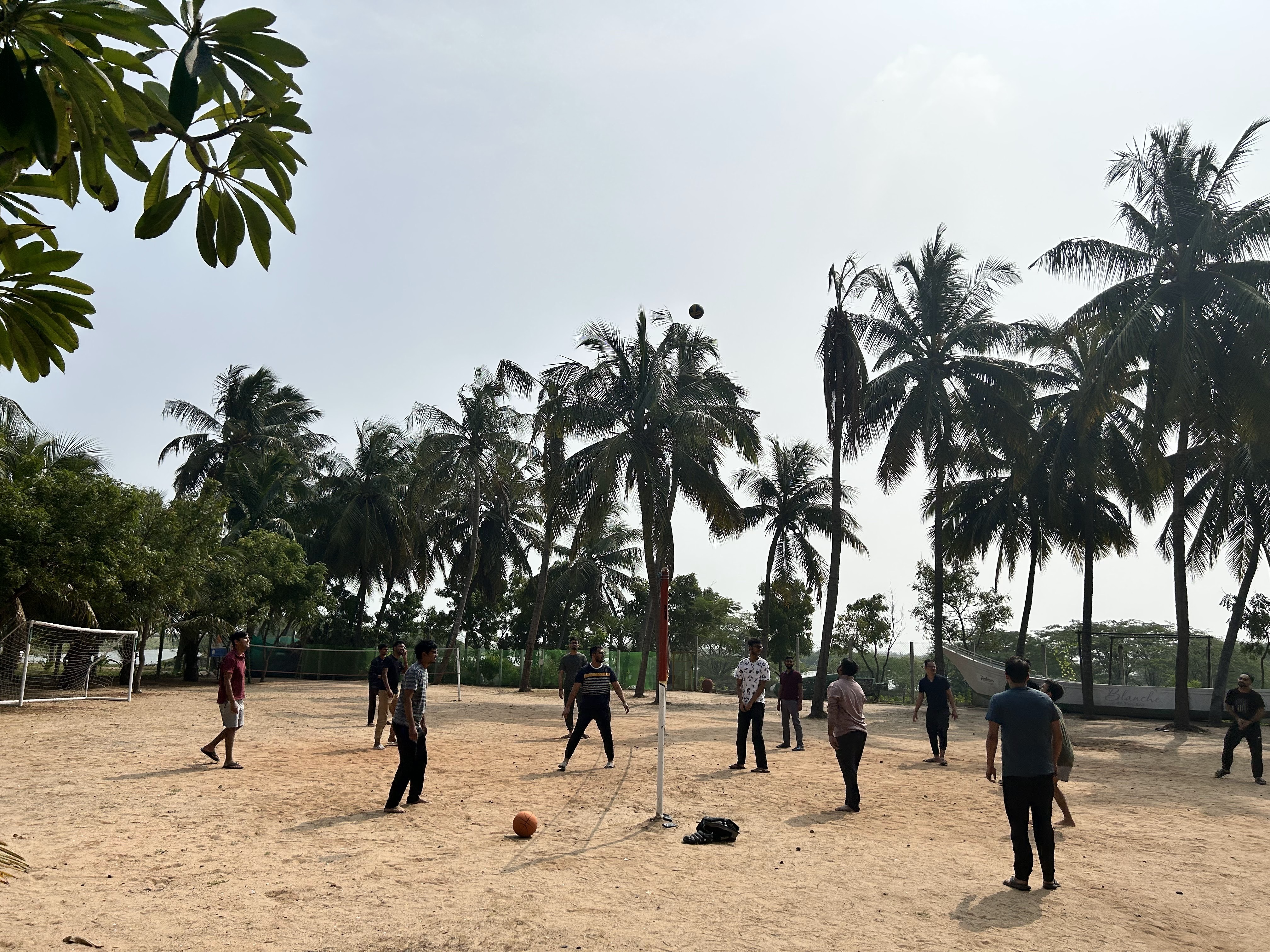 Volleyball game team collaboration